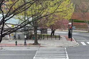 2647 Connecticut Ave NW, Washington, DC 20008 - Photo 4