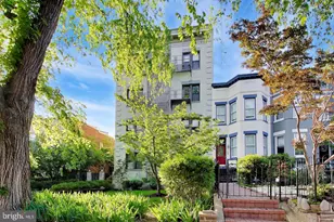 116 North Carolina Ave SE, Washington, DC 20003 - Photo 2