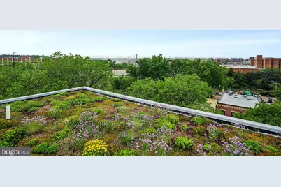900 11th Street SE #405, Washington, DC 20003 - Photo 20