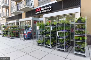 1427 Chapin St NW, Washington, DC 20009 - Photo 24