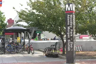 1317 Harvard St NW, Washington, DC 20009 - Photo 26