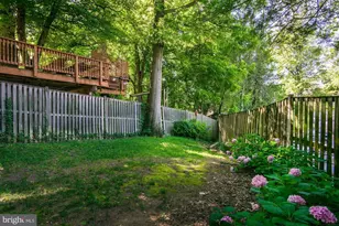 1626 Kalmia Rd NW, Washington, DC 20012 - Photo 44