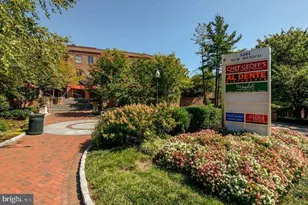 4383 Westover Pl NW, Washington, DC 20016 - Photo 40