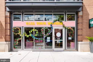 221 E St SE, Washington, DC 20003 - Photo 76