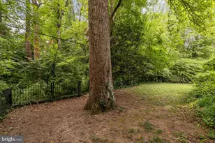 4968 Quebec St NW, Washington, DC 20016 - Photo 18