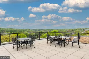 1801 Clydesdale Pl NW, Washington, DC 20009 - Photo 24