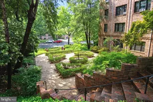 3041 Sedgwick St NW, Washington, DC 20008 - Photo 38