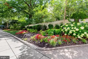 3100 Connecticut Ave NW, Washington, DC 20008 - Photo 32