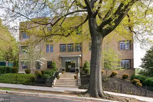 2911 Newark St NW, Washington, DC 20008 - Photo 14