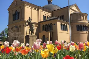 1041 Michigan Ave NE, Washington, DC 20017 - Photo 28