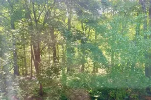 3980 Langley Ct NW, Washington, DC 20016 - Photo 16