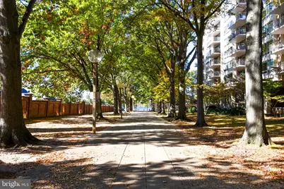 345 O Street SW, Washington, DC 20024 - Photo 38