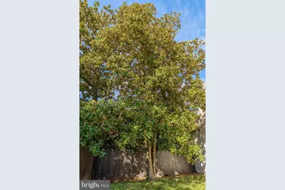 1510 26th Street NW, Washington, DC 20007 - Photo 42