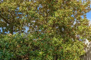 1510 26th St NW, Washington, DC 20007 - Photo 42