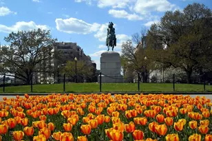 2201 L St NW, Washington, DC 20037 - Photo 22