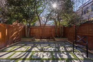 3522 P St NW, Washington, DC 20007 - Photo 4