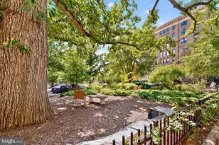 1621 T St NW, Washington, DC 20009 - Photo 20