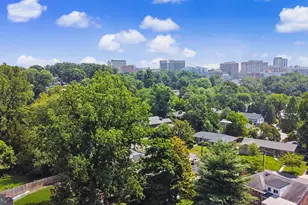 1905 Tulip St NW, Washington, DC 20012 - Photo 54