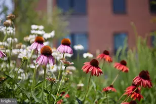910 T St NW, Washington, DC 20001 - Photo 36