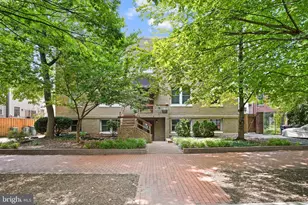 233 Kentucky Ave SE, Washington, DC 20003 - Photo 4