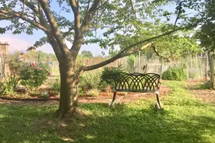 3801 Newark St NW, Washington, DC 20016 - Photo 30