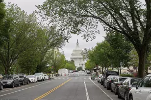 444 New Jersey Ave SE, Washington, DC 20003 - Photo 10