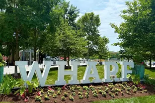 1245 4th St SW, Washington, DC 20024 - Photo 32