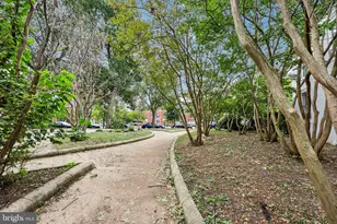 641 Independence Ave SE, Washington, DC 20003 - Photo 50