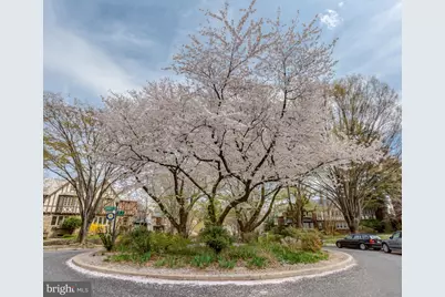 1413 44th Street NW, Washington, DC 20007 - Photo 48