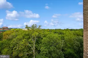 3001 Veazey Terrace NW, Washington, DC 20008 - Photo 14