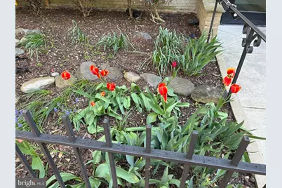 315 G Street NE #201, Washington, DC 20002 - Photo 30