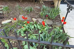 315 G St NE, Washington, DC 20002 - Photo 30