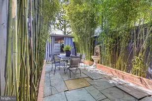 1317 Potomac Ave SE, Washington, DC 20003 - Photo 18
