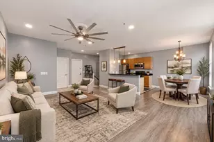 343 Cedar St NW, Washington, DC 20012 - Photo 4