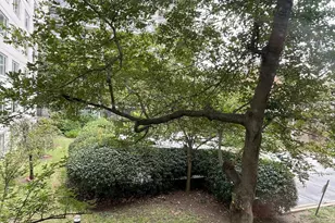 2475 Virginia Ave NW, Washington, DC 20037 - Photo 10