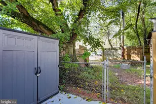 311 16th St SE, Washington, DC 20003 - Photo 18