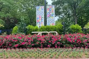 2737 Devonshire Pl NW, Washington, DC 20008 - Photo 28
