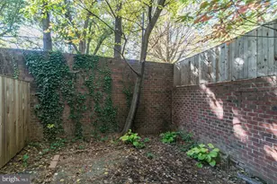 4341 Massachusetts Ave NW, Washington, DC 20016 - Photo 16