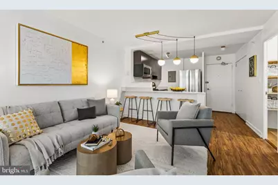 1101 3rd Street SW #310, Washington, DC 20024 - Photo 4
