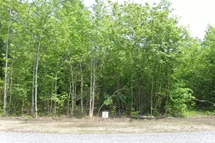Lot B Easement Off Of Shortly Rd, Georgetown, DE 19947 - Photo 1