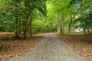 29247 White Pine Ln, Milton, DE 19968 - Photo 72