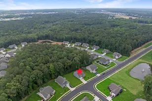 20456 Ragtop Xing, Harbeson, DE 19951 - Photo 78