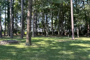 27002 Kaye Rd, Laurel, DE 19956 - Photo 54