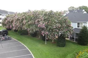 17293 King Phillip Way, Lewes, DE 19958 - Photo 28