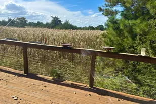 106 Florida Ave, Milton, DE 19968 - Photo 46