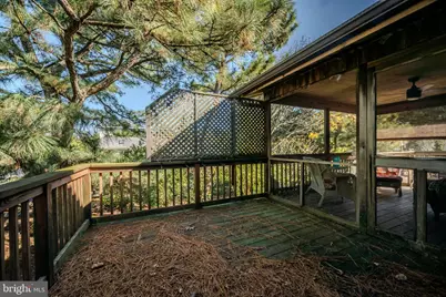 106 Florida Avenue, Milton, DE 19968 - Photo 54