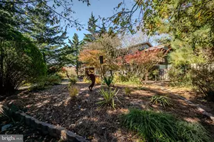 106 Florida Ave, Milton, DE 19968 - Photo 6