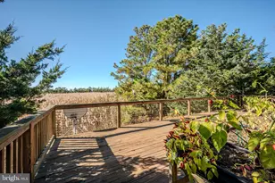 106 Florida Ave, Milton, DE 19968 - Photo 44