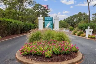 30112 Big Marsh Ct, Ocean View, DE 19970 - Photo 52