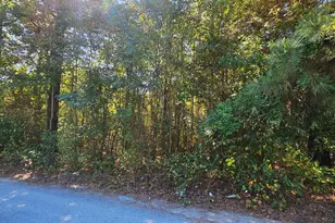 Lot 6 Thelma Ct, Greenwood, DE 19950 - Photo 4